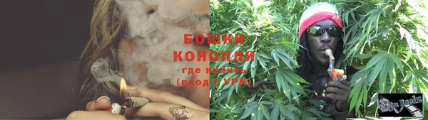 Альфа ПВП Гусев