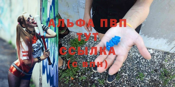 Альфа ПВП Гусев