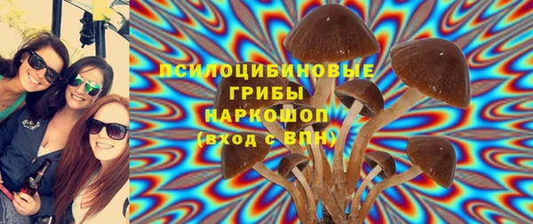 дмт Гусиноозёрск