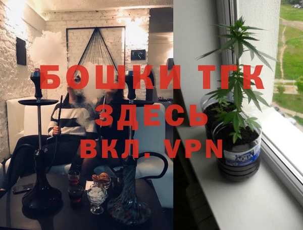 Альфа ПВП Гусев