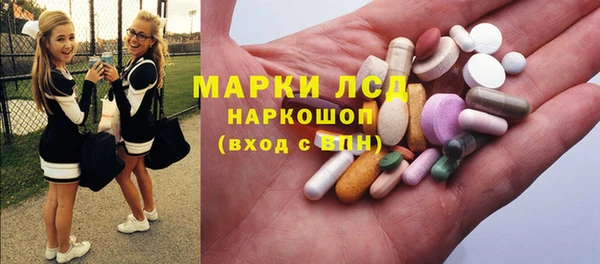 Альфа ПВП Гусев