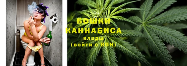 дмт Гусиноозёрск