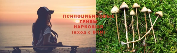 дмт Гусиноозёрск