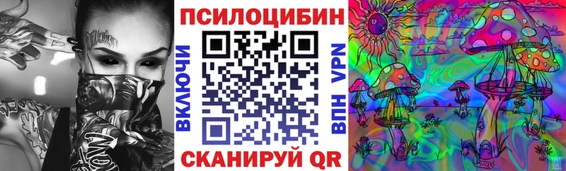 Псилоцибиновые грибы Psilocybine cubensis  Купить  Тейково 